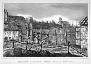 Bethnal Green Collection: Bishops cottage, Nova Scotia Gardens, Bethnal Green, London, c1850