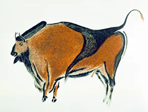 Bison, copy of a Palaeolithic cave painting at Altamira, northern Spain, 1913 Bison, copy of a Palaeolithic cave painting at Altamira, northern Spain, 1913