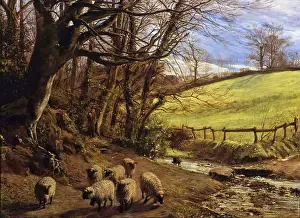 Channel Islands Prints: A Bit of Guernsey. Creator: Allan James Hook