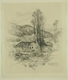 Forestry Prints: A Bit of Lanherne Valley, Cornwall