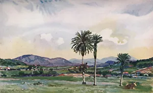 Alured Gray Prints: A bit of Rios North-Western Suburbs, along the route of the Central Railway, 1914