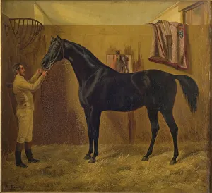 Stable Prints: Black Comet, 1849. Creator: Fritz Thomsen