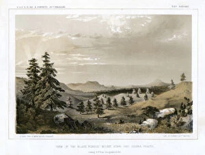Images Dated 17th November 2007: The Black Forest Mount Hope and Sierra Prieta, USA, 1856.Artist: E Stout