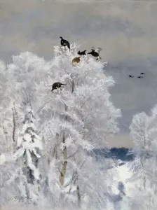 Bruno Anders Liljefors Prints: Black Grouse in a Treetop, 1923. Creator: Bruno Liljefors
