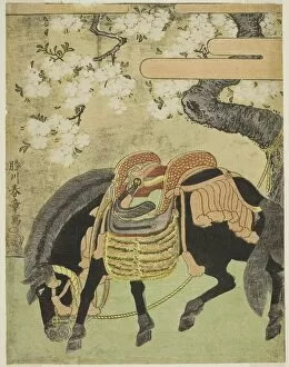 Saddle Gallery: Black Horse Tethered under a Blossoming Cherry Tree, Japan, c. 1770. Creator: Shunsho