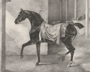 Gericault Theodore Prints: Black Horse Tethered in a Stable, 1822. Creator: Theodore Gericault