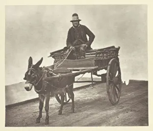 Smith Adolphe Collection: Black Jack, 1881. Creator: John Thomson