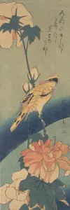Oriole Prints: Black-naped Oriole Perched on a Stem of Rose Mallow