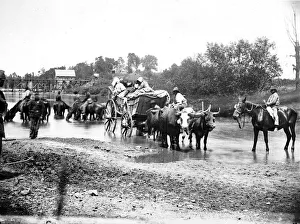 Black refugees travelling in a bullock cart, American Civil War, 1861-1865 Black refugees travelling in a bullock cart, American Civil War, 1861-1865
