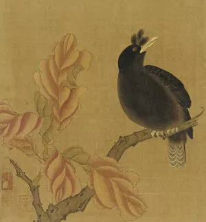 Images Dated 20th August 2021: A blackbird on a branch; autumn leaves, Qing dynasty, 18th century. Creator: Unknown