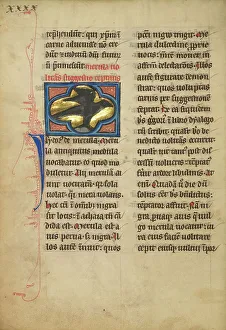 Bestiary Prints: A Blackbird; De Natura Avium; De Pastoribus et Ovibus; On the Soul