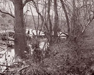 Bull Run Prints: Blackburns Ford / Rapidan River, The Wilderness, 1861-65. Creator: Tim O Sullivan