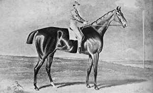 Blacklock, 1814-1831, (1911)