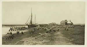 Blackshore, River Blythe (Suffolk), c. 1883/87, printed 1888 Blackshore, River Blythe (Suffolk), c. 1883/87, printed 1888