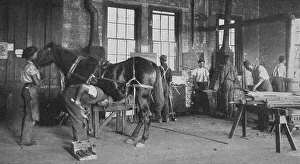 Smithy Prints: The blacksmith shop, 1904. Creator: Frances Benjamin Johnston