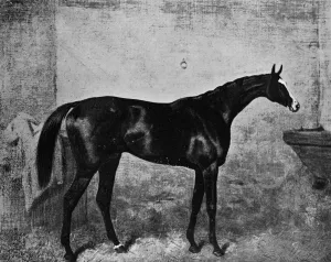Stable Prints: Blair Athol, 1861-1882, (1911)