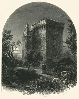 County Cork Prints: Blarney Castle, c1870
