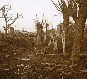 Blasted landscape, Belloy-en-Santerre, northern France, c1914-c1918