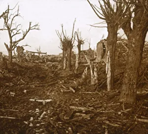 Blasted landscape, Belloy-en-Santerre, northern France, c1914-c1918 Blasted landscape, Belloy-en-Santerre, northern France, c1914-c1918