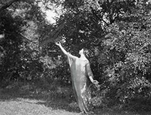 Bushes Prints: Block, Stella, Miss, 1919 or 1920. Creator: Arnold Genthe