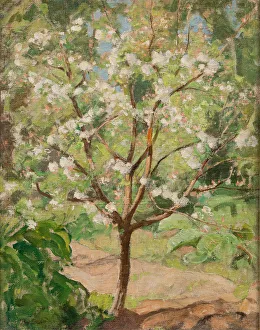 Kalevala Prints: Blooming apple tree, 1924