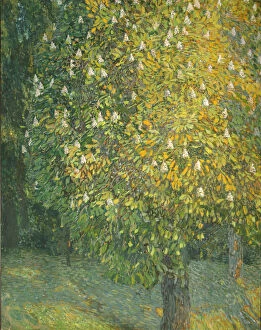 Golovin Gallery: Blooming Chestnut Tree. Artist: Golovin, Alexander Yakovlevich (1863-1930)