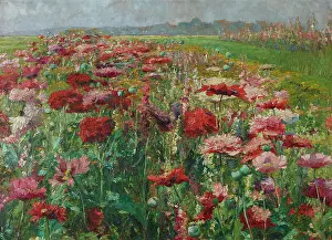 Meadow Prints: Blooming Poppy, c1895-1900. Creator: Wisinger-Florian, Olga (1844-1926)