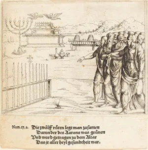 Torah Prints: The Blossoming of Aarons Rod. Creator: Augustin Hirschvogel