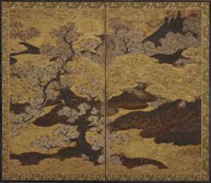 Blossoming cherry trees, Edo period, ca. 1580-1635. Creator: Kano Sanraku