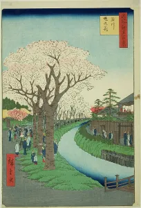 Honshu Japan Prints: Blossoms on the Tama River Embankment (Tamagawa-zutsumi no hana)