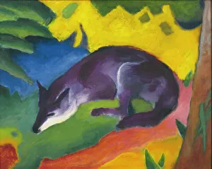 Animals & Pets Collection: Blue-Black Fox, 1911