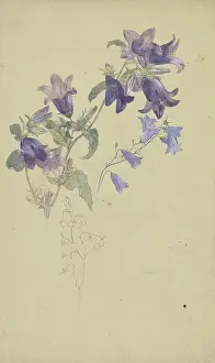 Wilhelm Prints: Bluebells. Creator: Wilhelm August Theodor Steinhausen