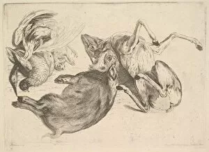 Hollar Collection: Boar, deer, heron and other game, 1625-77. Creator: Wenceslaus Hollar