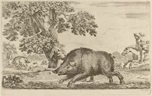 Hunting Dogs Collection: Boar Running to the Left. Creator: Stefano della Bella