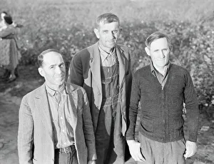 Cooperative Prints: Board of directors of the Mineral King Farm Association