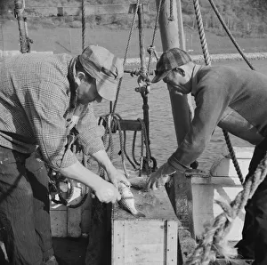 Fishing Boats Gallery: On board the fishing boat Alden, out of Glocester, Massachusetts, 1943. Creator: Gordon Parks