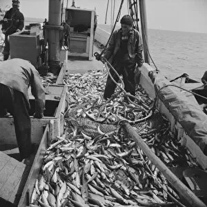 Deck Gallery: On board the fishing boat Alden, out of Gloucester, Massachusetts, 1943. Creator: Gordon Parks
