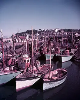 Fishing Boat Prints: Boats in Brixham Harbour, Devon, c1955. Creator: Arthur Charles Kirby Ware