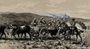 Casualties Prints: Boer War: wounded men transported in an ambulance cart drawn by oxen