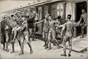 Stretcher Prints: Boer War: wounded soldiers being escorted off the hospital train at Durban from Ladysmith