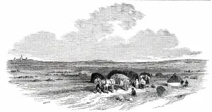 Peat Prints: The Bog of Allen, from the Canal Side, 1850. Creator: Smyth