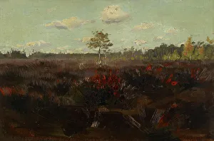 Lapland Europe Prints: Bog in Lapland, 1892. Creator: Torsten Wasastjerna