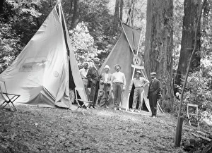 Camping Prints: Bohemian Club Grove scene, between 1896 and 1911. Creator: Arnold Genthe