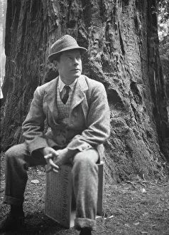 Crates Prints: Bohemian Club Grove scene, between 1896 and 1942. Creator: Arnold Genthe