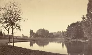 Charles Marville Gallery: Bois de Boulogne, 1858. Creator: Charles Marville