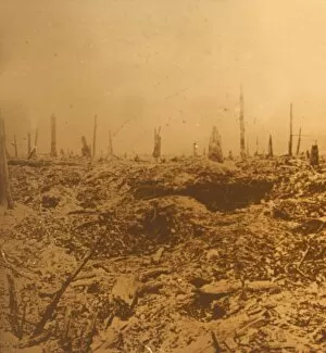 Devastation Gallery: Bois du Chapitre, Vaux, northern France, c1914-c1918