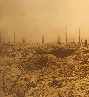 Devastation Gallery: Bois du Chapitre, Vaux, northern France, c1914-c1918