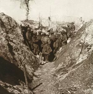 Aisne Gallery: Bois de la Grille before attack, northern France, c1914-c1918