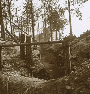 Bois-le-Pretre, northern France, c1914-c1915