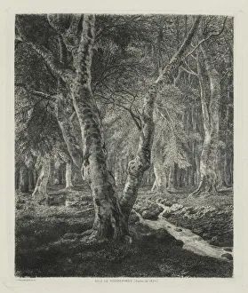 Bois de Pierrefonds, 1874. Creator: Adolphe Theodore Jules Martial Potemont (French